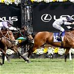 maybe mahal stakes bet on